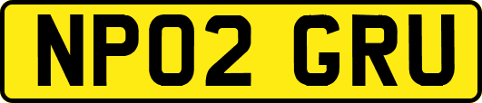 NP02GRU