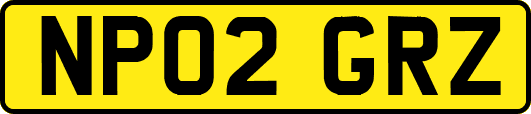 NP02GRZ