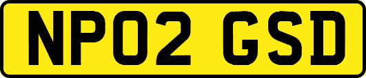NP02GSD