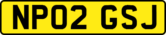 NP02GSJ