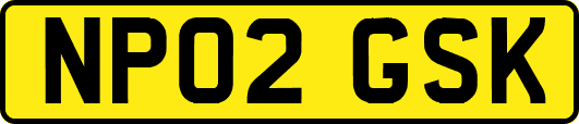 NP02GSK