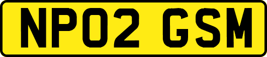 NP02GSM