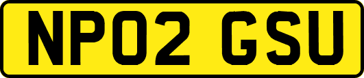 NP02GSU