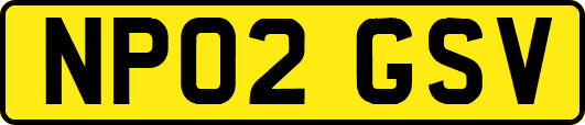 NP02GSV