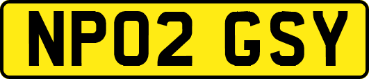 NP02GSY