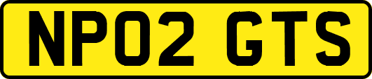 NP02GTS