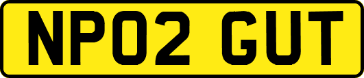 NP02GUT