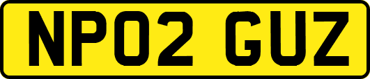 NP02GUZ