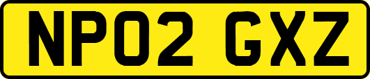 NP02GXZ
