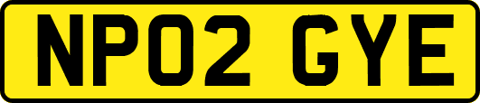 NP02GYE