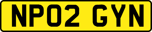 NP02GYN