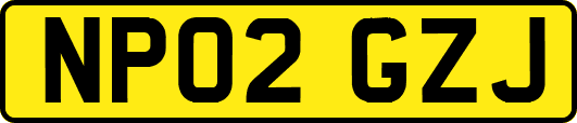 NP02GZJ