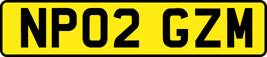NP02GZM