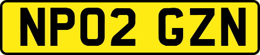 NP02GZN