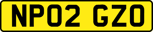 NP02GZO
