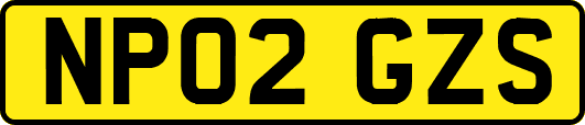 NP02GZS