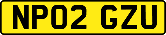 NP02GZU