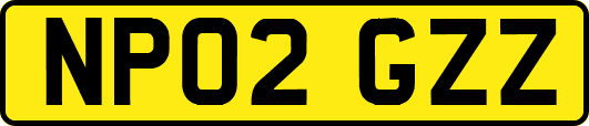 NP02GZZ
