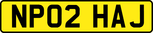 NP02HAJ