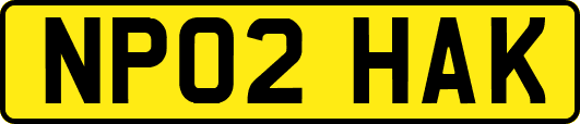 NP02HAK