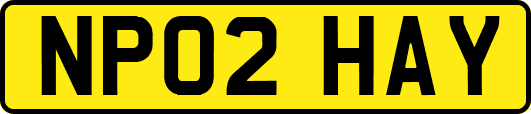 NP02HAY