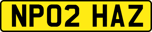 NP02HAZ
