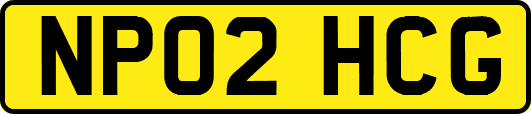 NP02HCG
