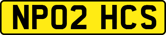 NP02HCS