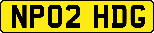 NP02HDG
