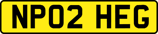 NP02HEG