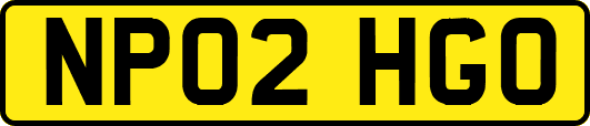 NP02HGO