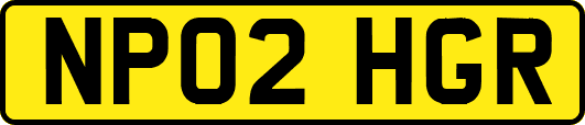 NP02HGR