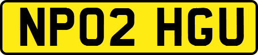 NP02HGU