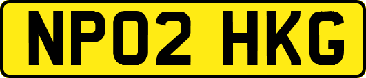 NP02HKG