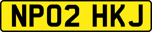 NP02HKJ