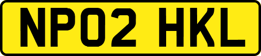 NP02HKL