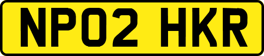 NP02HKR