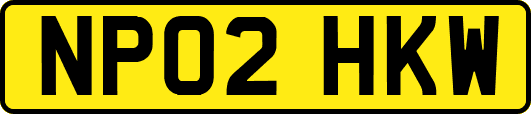 NP02HKW