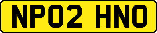 NP02HNO