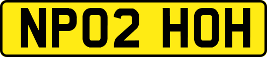 NP02HOH
