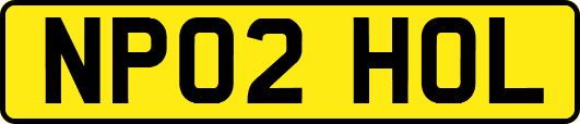 NP02HOL