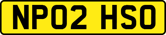 NP02HSO