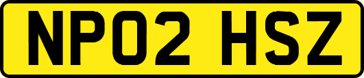 NP02HSZ