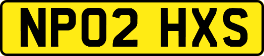 NP02HXS