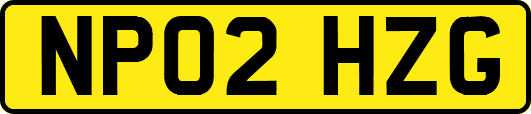NP02HZG