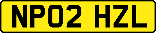 NP02HZL