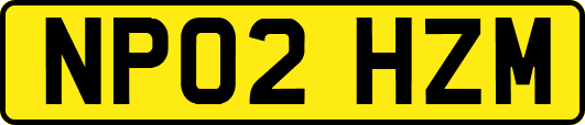 NP02HZM