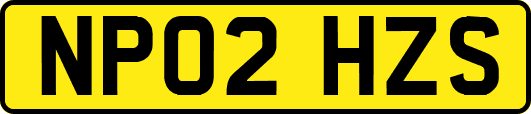 NP02HZS