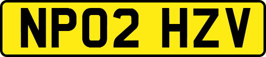 NP02HZV