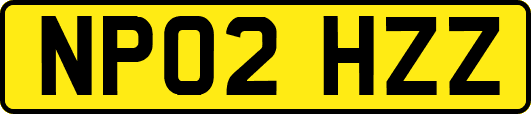NP02HZZ